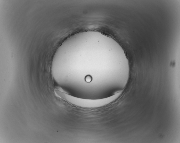 X0000113101441200909182127