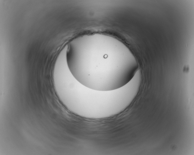 X0000113101444200909182127