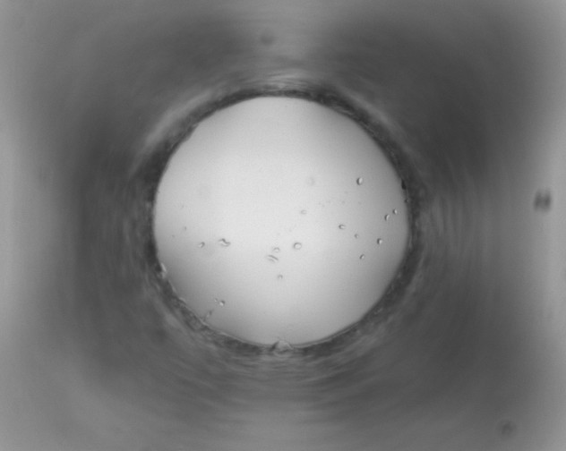 X0000113101447200909182127