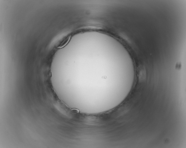 X0000113101448200909182127