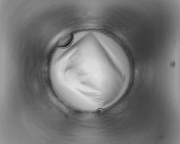 X0000113101450200909182127