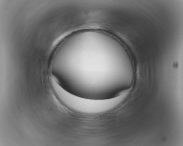 X0000113101452200909182127