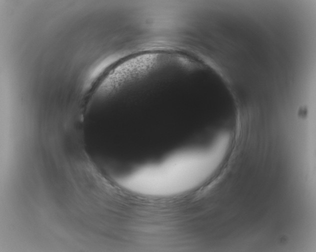X0000113101453200909182127