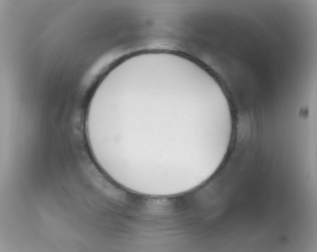 X0000113101454200909182127