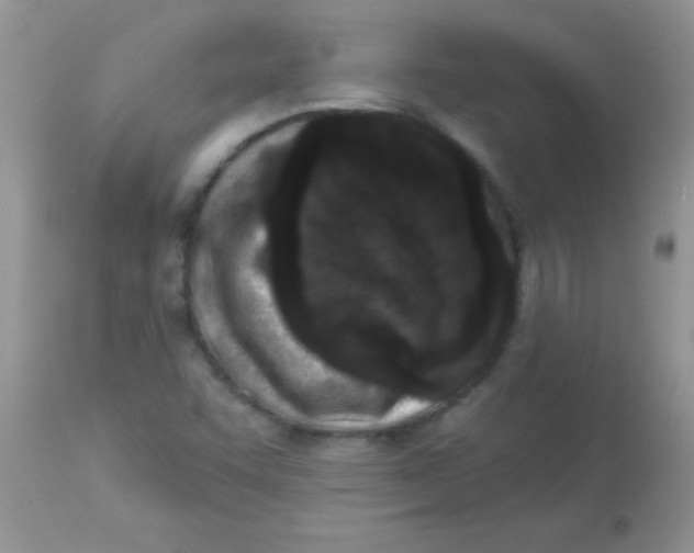 X0000113101455200909182127