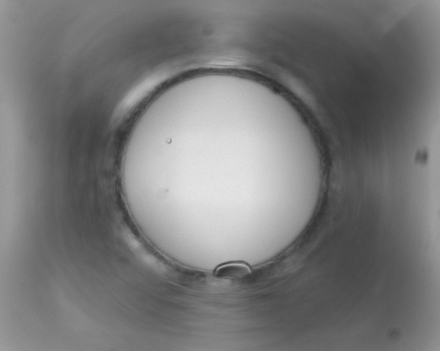 X0000113101456200909182127