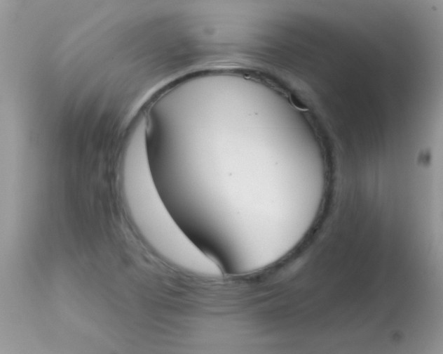 X0000113101457200909182127