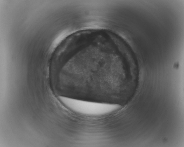 X0000113101459200909182127