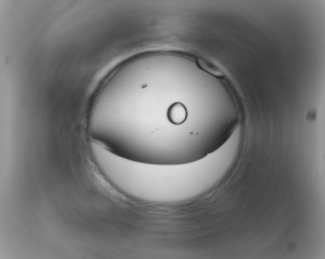 X0000113101460200909182127