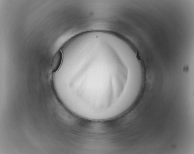 X0000113101461200909182127
