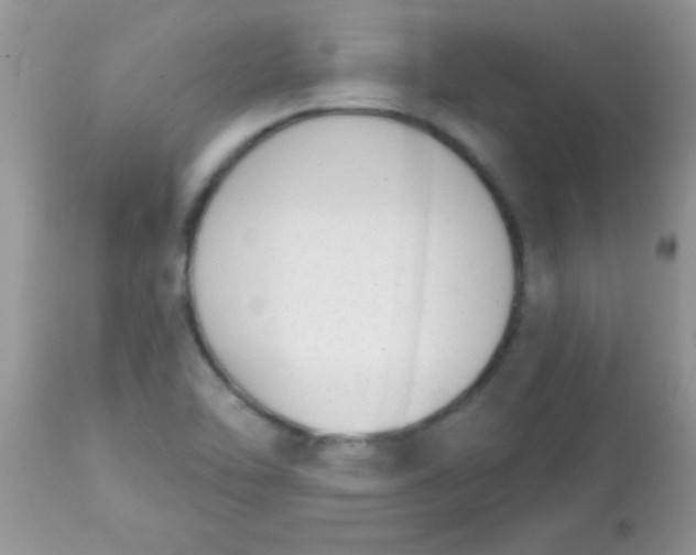 X0000113101462200909182127