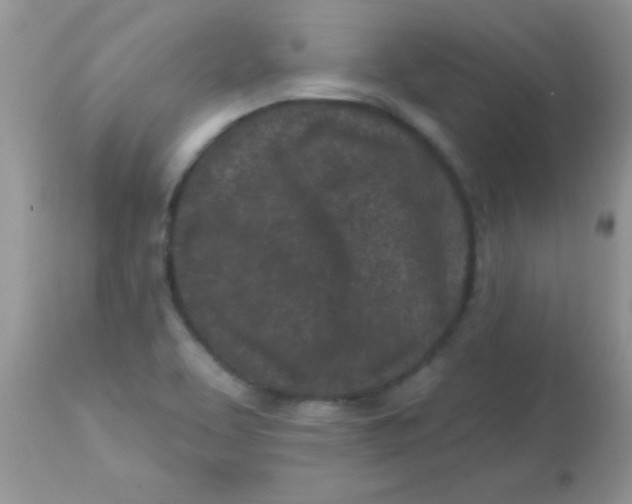 X0000113101463200909182127
