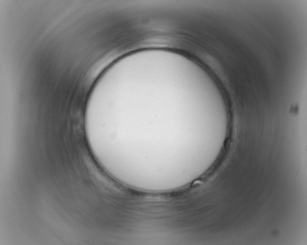 X0000113101465200909182127