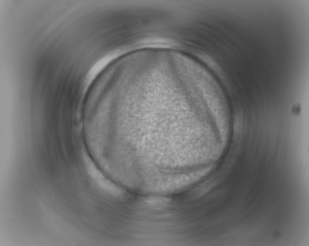 X0000113101466200909182127