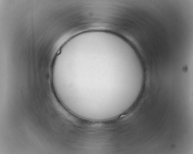 X0000113101467200909182127
