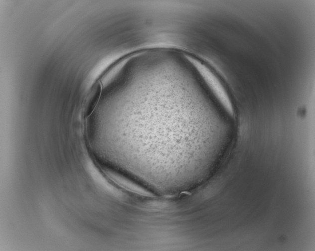 X0000113101468200909182127