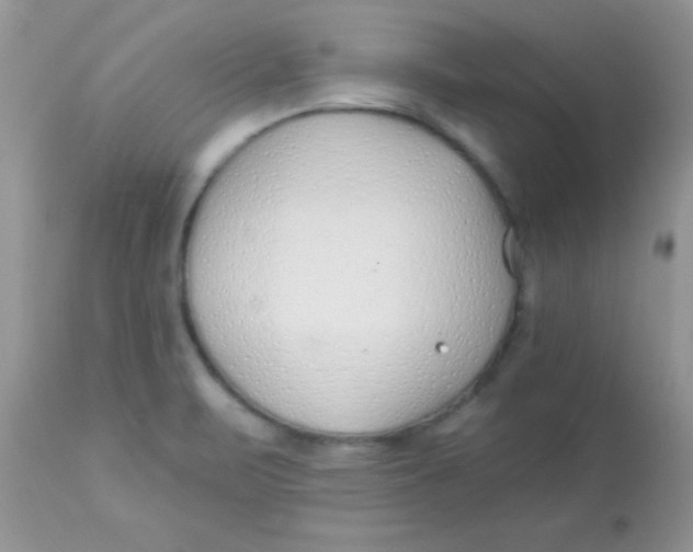 X0000113101471200909182127
