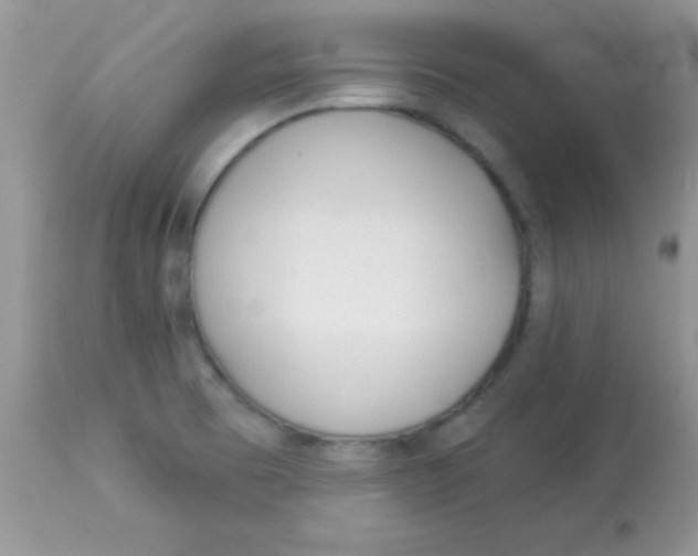 X0000113101473200909182126