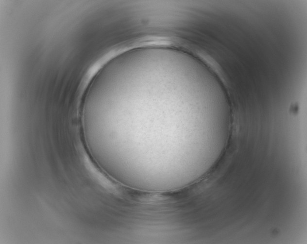 X0000113101475200909182126