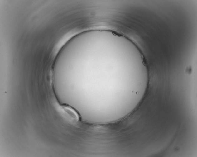 X0000113101476200909182126