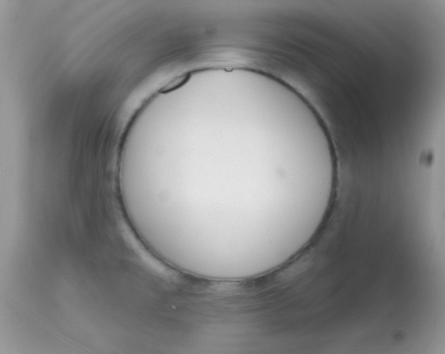 X0000113101477200909182126