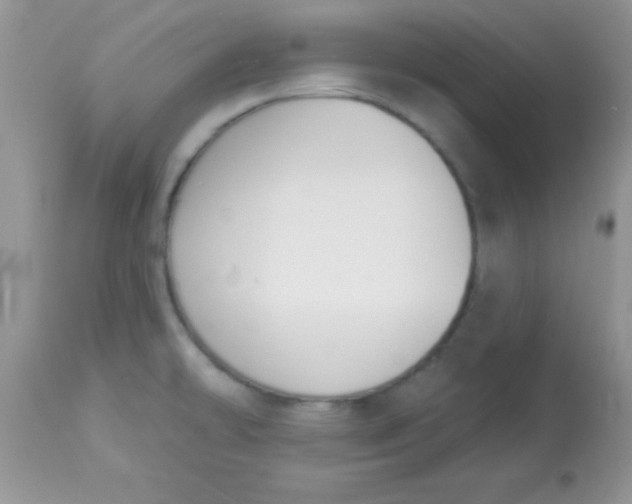 X0000113101478200909182126