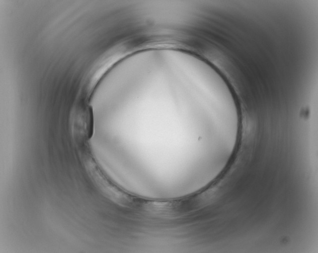 X0000113101481200909182126