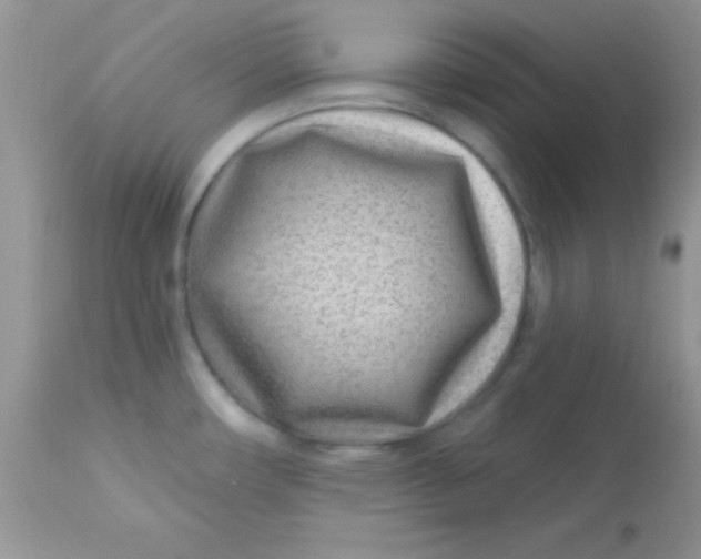 X0000113101482200909182126