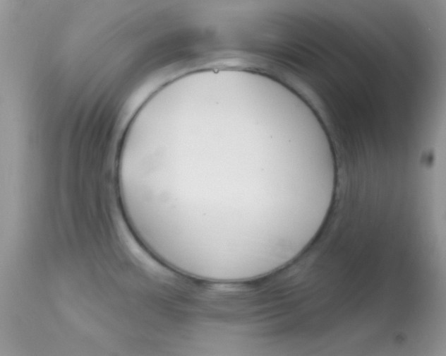X0000113101483200909182126