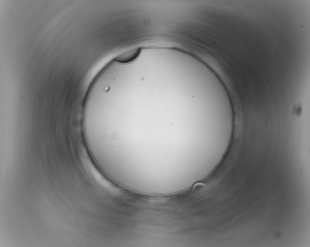 X0000113101484200909182126