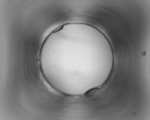 X0000113101485200909182126