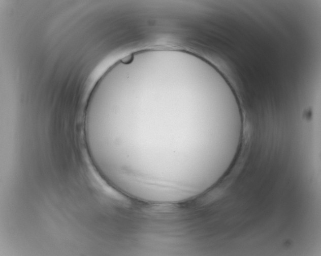 X0000113101486200909182126