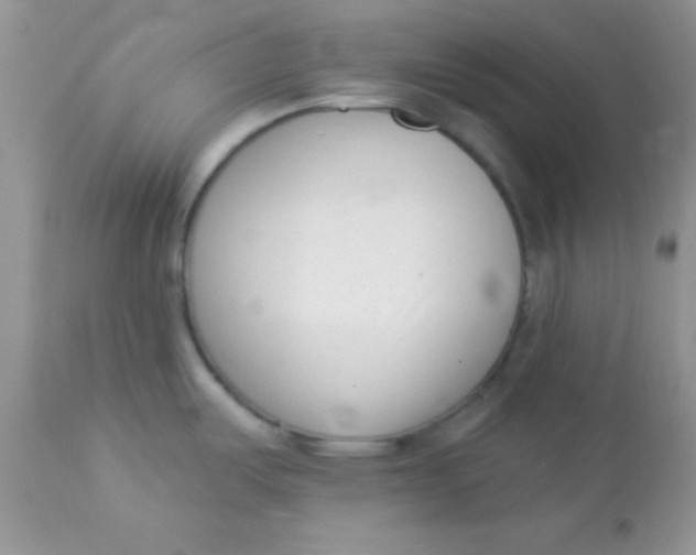 X0000113101487200909182126