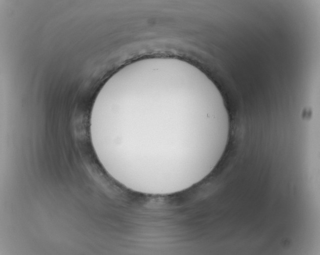 X0000113101490200909182126