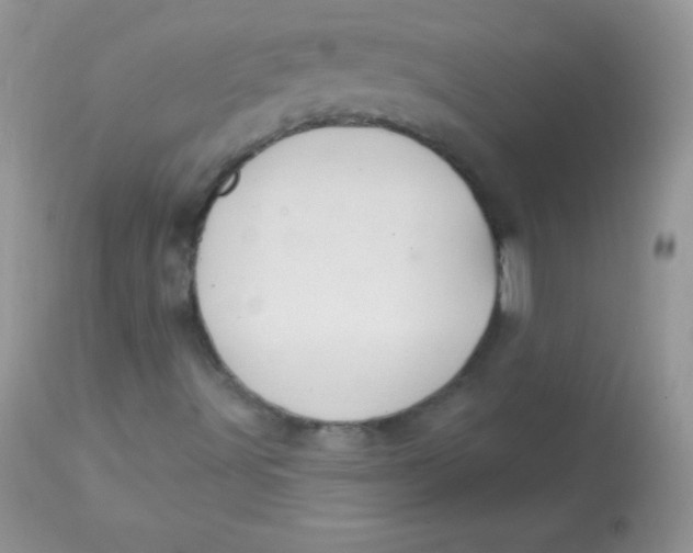 X0000113101491200909182126