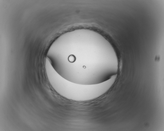X0000113101492200909182126