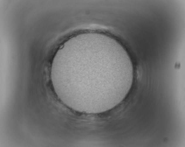 X0000113101493200909182126