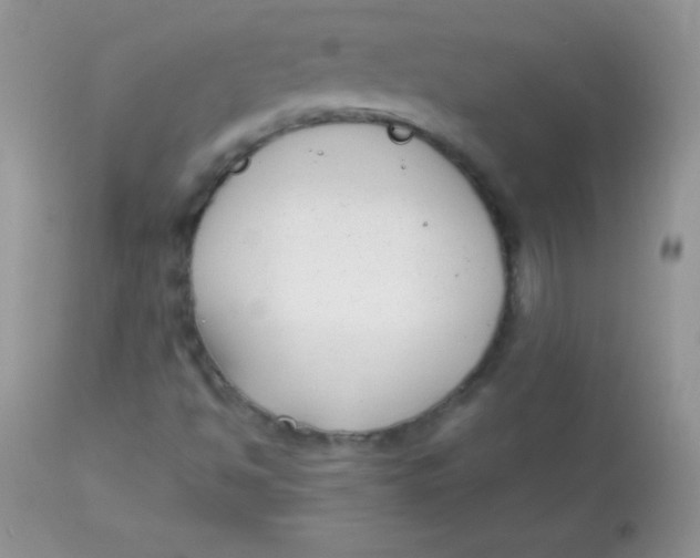 X0000113101494200909182126