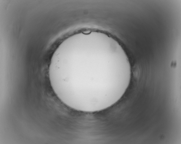 X0000113101495200909182126