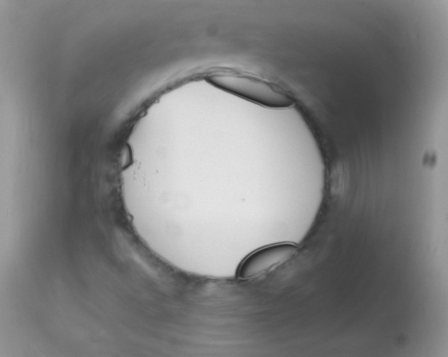X0000113101496200909182126