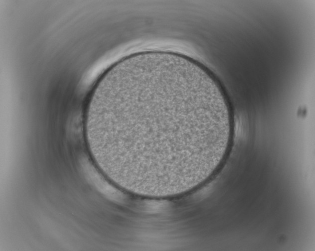 X0000113101498200909182126