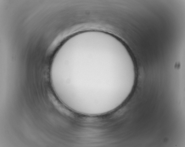 X0000113101499200909182126