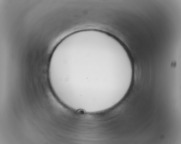 X0000113101500200909182126