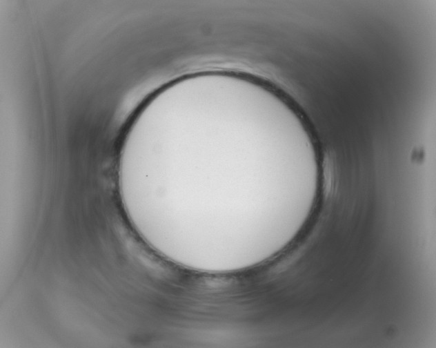 X0000113101501200909182126