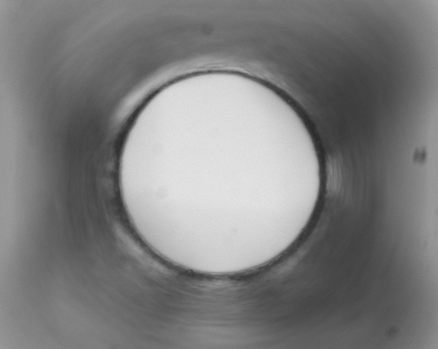 X0000113101502200909182126