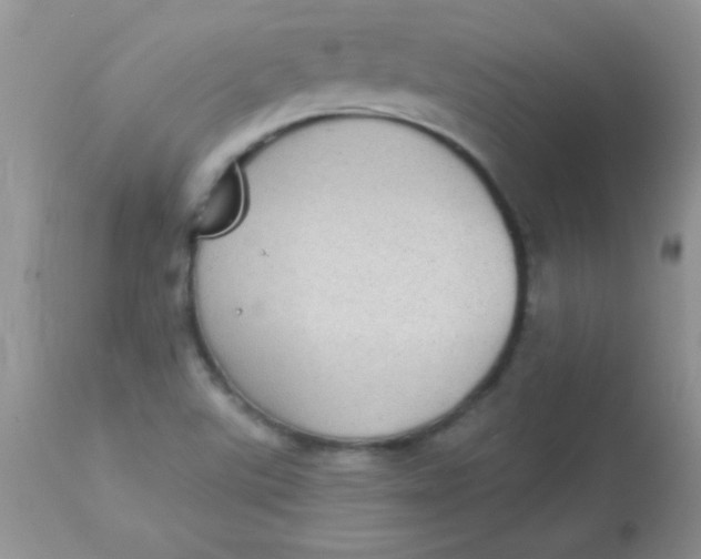 X0000113101507200909182126
