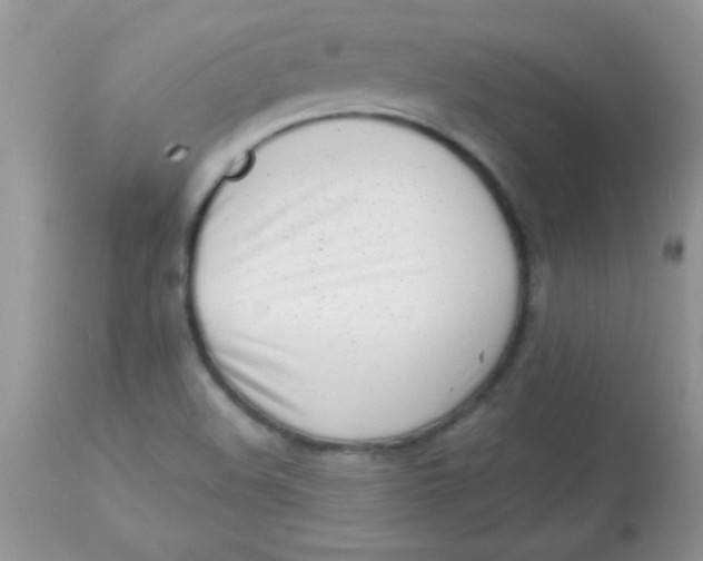 X0000113101508200909182126