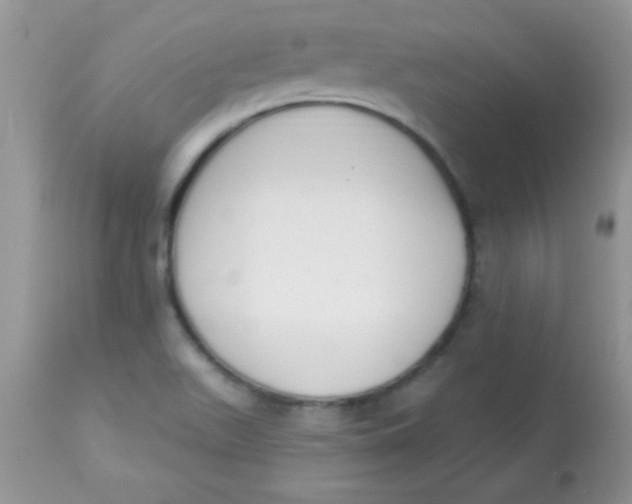 X0000113101511200909182126