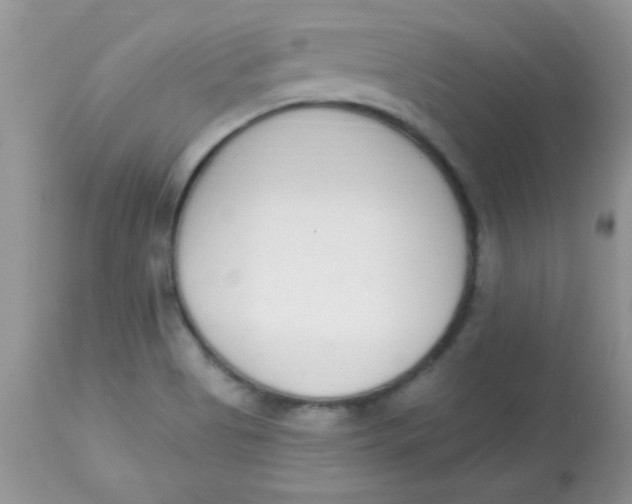 X0000113101513200909182126