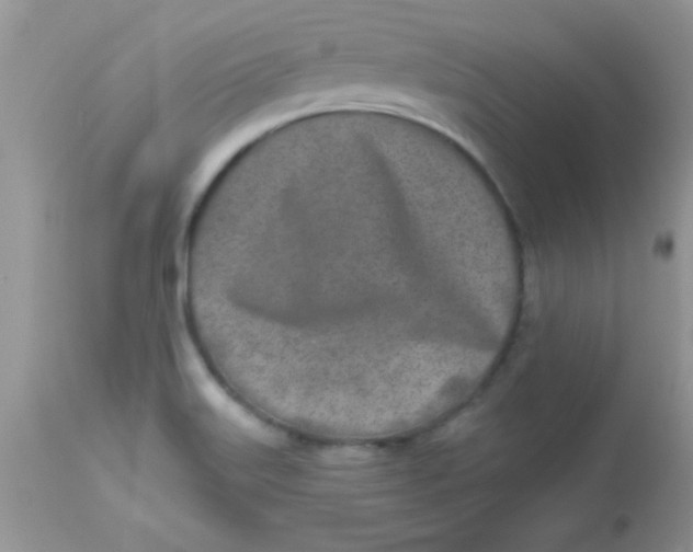 X0000113101515200909182126